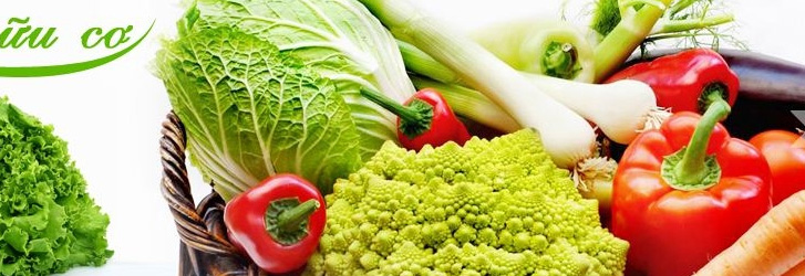 2041483256-thuc-pham[1]