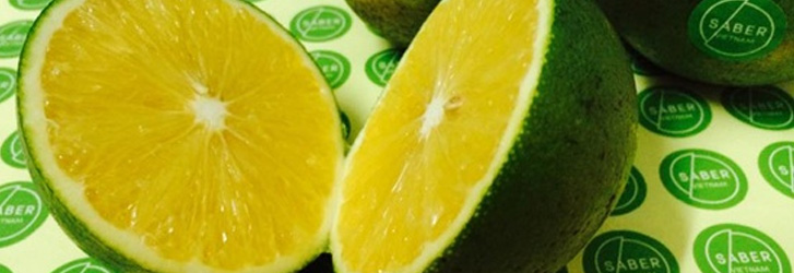 209178221-thuong-hieu-cam-cao-phong[1]